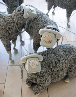 Phone Systems Brisbane Run With The Herd